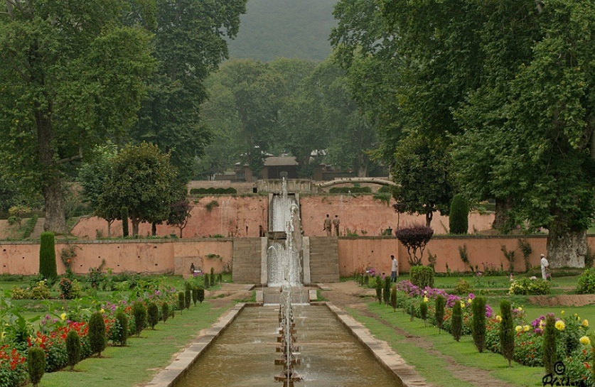 nishat-front-view